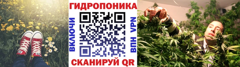 Каннабис план  Ипатово 